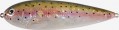 VS12N-RT-Natural-Rainbow-Trout