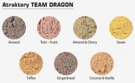 Atraktory Team Dragon