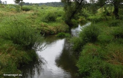 W takich rzeczkach mieszkają klenie, jazie, okonie i pstrągi, które sa cenną zdobyczą dla spinningisty posługującym się delikatnym spinningiem 