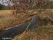 Jedna z wielu podkarpackich rzeczek. Na zdjęciu widok prostki - płytka, wartka, o piaszczysto-żwirowym podłożu. To wymarzone miejsca dla prądolubnych pstrągów i kleni.