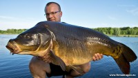 Karp golec o wadze 17,5 kg. Potrafi ciągnąć jak lokomotywa.