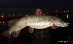 Szczupak w roli przyłowu, złowiony przez autora na wklejankę Fishmaker II.