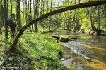 Sławek łowi w miejscach wymagających od wędkarza dużej precyzji rzutów.