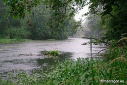 Widok rzeki podczas deszczu. Prezentuje się niczym rzeka płynąca przez dżunglę. To łowisko dla twardzieli.