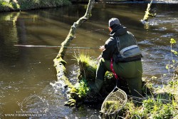 Czerwony kolor żyłki Maxima Trout&Jig umożliwia precyzyjne prowadzenie przynęty obok niezwykle zaczepowych miejsc, a to wszystko w wodzie pełnej jaskrawych słonecznych blasków i zajączków.