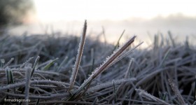 Gdy o piątej rano zajeżdżam nad wodę, brzeg pokryty jest białym szronem. Samochodowy termometr pokazuje trzy stopnie Celsjusza na minusie.