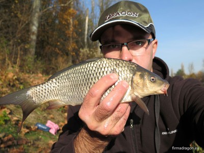 Karp ma niewiele ponad trzydzieści centymetrów. Jednak przez kilka chwil dał sporo frajdy i jest takim małym ukoronowaniem dzisiejszego dnia nad kanałem.