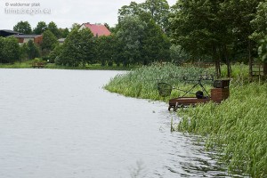 Sąsiednie, nieodległe stanowisko obrane dla karpiówek Mega Baits.