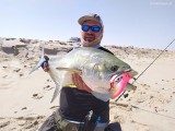 Amberjack i Leerfish