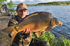 Kolega Krzysztof prezentuje silnego, 8-kilogramowego karpia. Nie jest łatwo wyciągnąć tej wielkości rybę, gdyż ta walczy długo i wytrwale. Karp w zadbanym łowisku jest zdrowy i w doskonałej kondycji, dzięki temu wędkarz ma wiele frajdy nie tylko w holowaniu takiego siłacza. Po szczęśliwym lądowaniu może spojrzeć mu w oczy i powiedzieć: Przechytrzyłem cię, cwaniaku! Teraz cię uwalniam, płyń po dziadka!