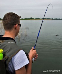 Udało mi się sfotografować w akcji ugięcie blanku wklejanki Thytan Sensitive 2-15 g pod co najmniej 2-kilowym leszczem. Widać na blanku spory zapas mocy. Do wędziska można założyć plecionkę, aby uchronić się przed stratą silnego przyłowu spinningując w rzece.