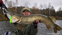 Szczupak kol. Radka mierzy równe 100 cm. Wziął na pływający wobler Slider pokazany na zdjęciu, zrobił to bardzo widowiskowo stawiając bardzo silny opór na wędce.