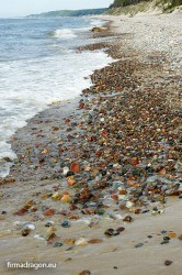 Kamienie i żwir na piaszczystej plaży zwiastują dobre miejsce do łowienia belon.
