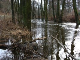 rzeczka
