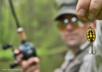 Po licznych próbach z cięższymi przynętami, Sławek założył obrotówkę AG Classic nr 2. Dość szybko złowił kilka mniejszych ryb.