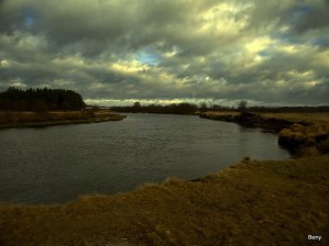 Narew