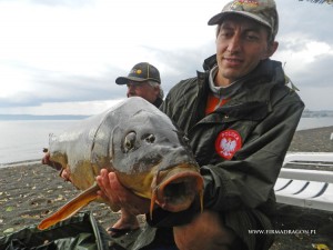 Bolsena 2012